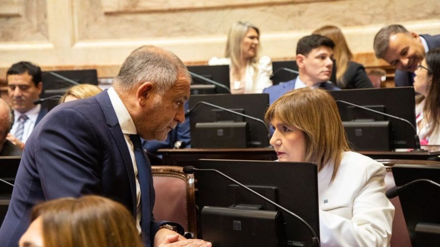 La Libertad Avanza (LLA) buscará aprobar la reforma laboral y la Ley Penal Juvenil este viernes en el Senado