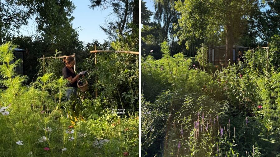 Jardín de Juliana Awada