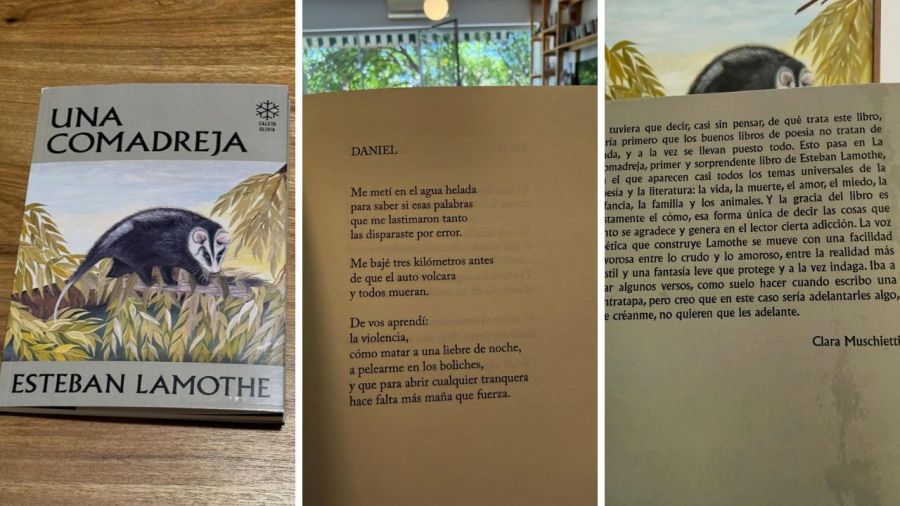 Libro de poesías de Esteban Lamothe