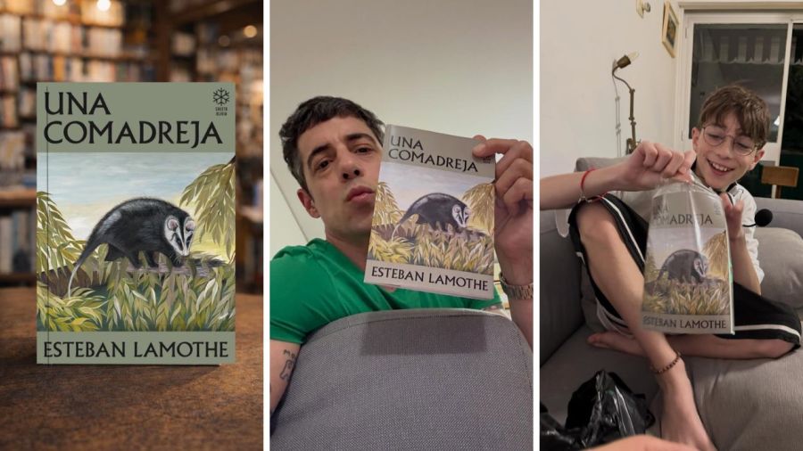 Libro de poesías de Esteban Lamothe