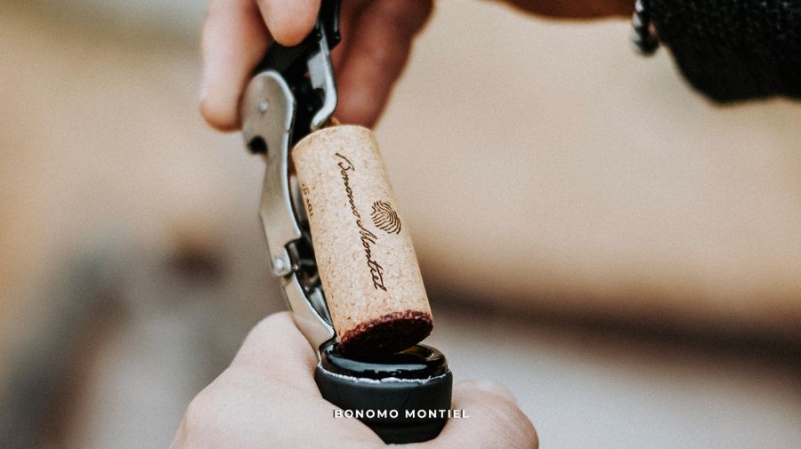 Bonomo Montiel en Delirio