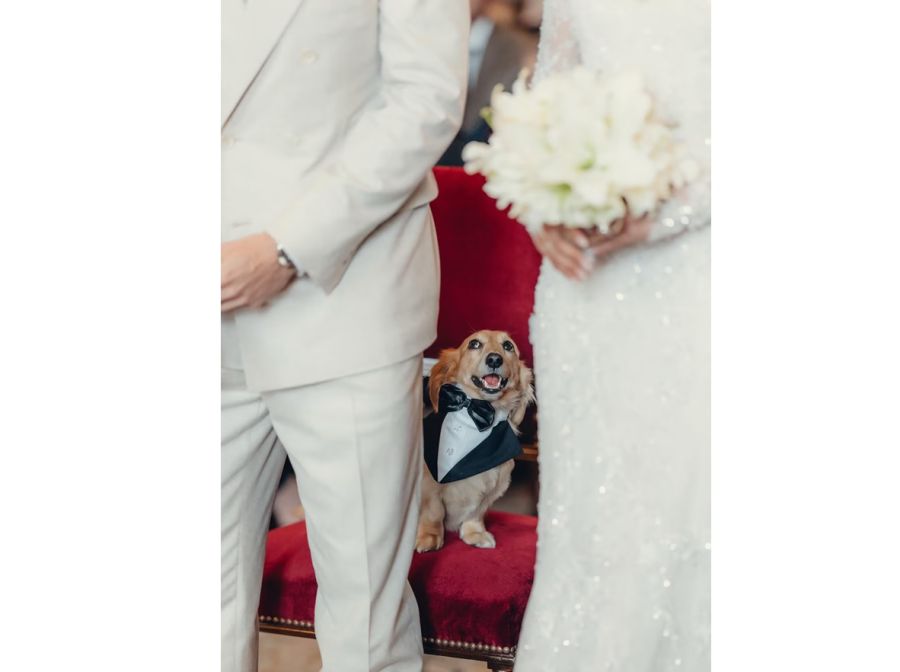 Leo en la boda de sus padres Charles Leclerc y Alexandra Saint Mleux