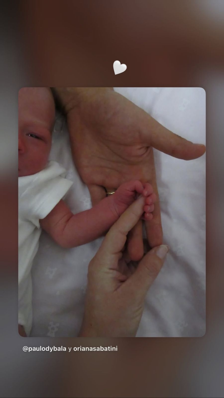 Oriana Sabatini, Catherine Fulop