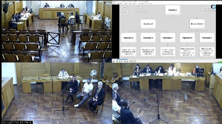 Hipótesis de los peritos