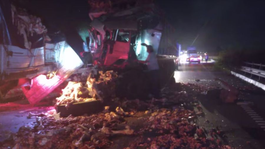 Tres camiones y un colectivo chocaron en la Ruta 9: hay un muerto y un herido