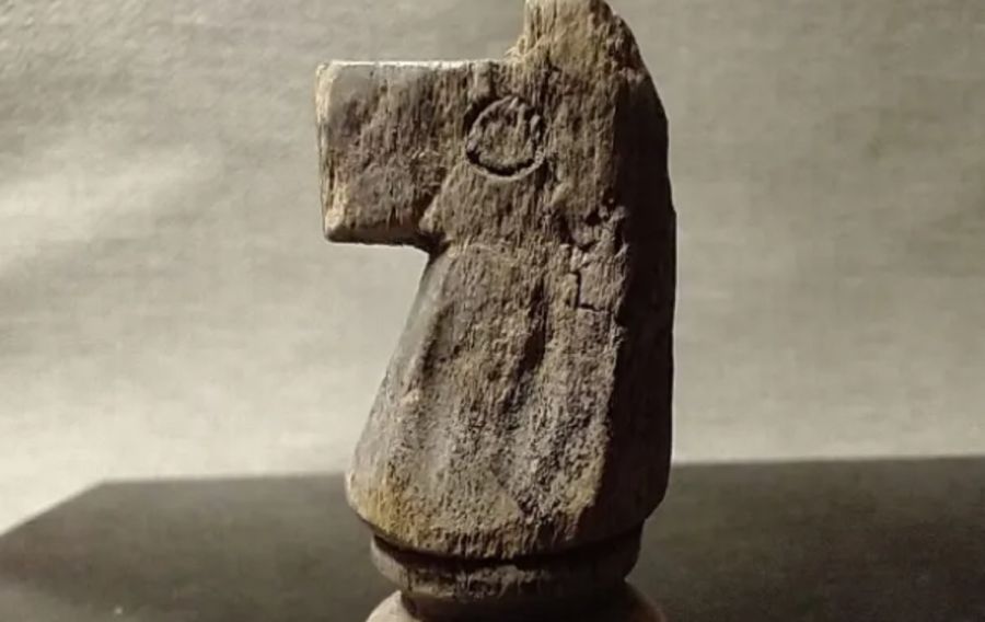 0603_caballo ajedrez