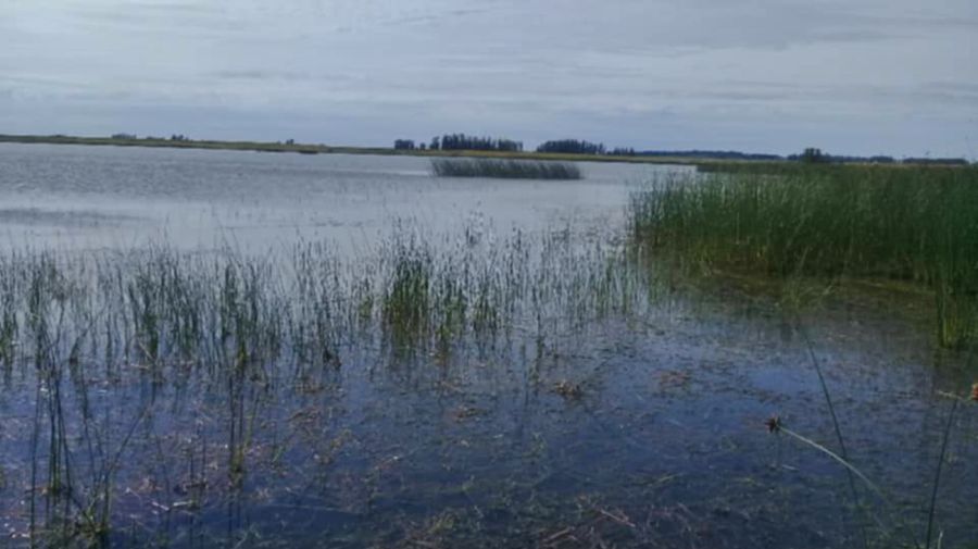 0603_mapa_pique_pesca