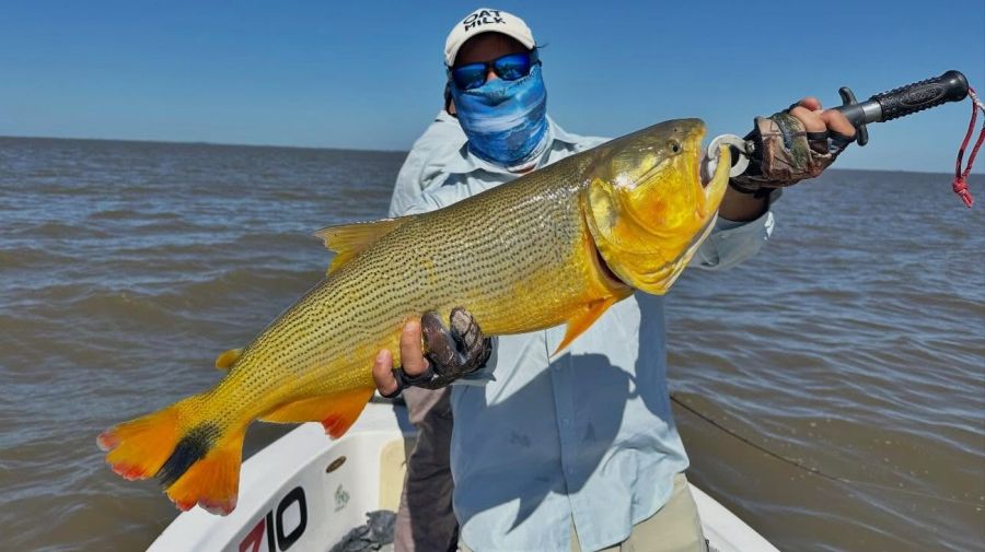 0603_mapa_pique_pesca