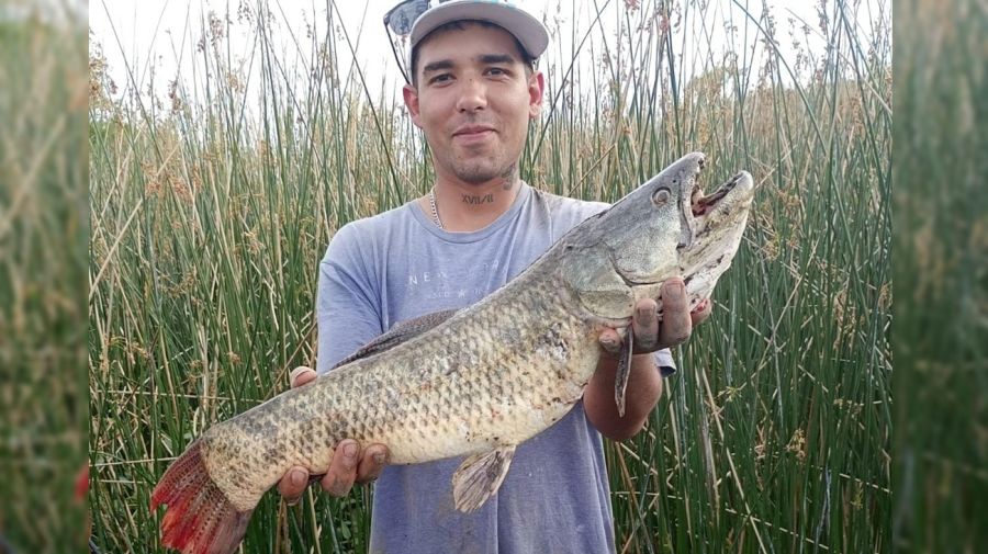 0603_mapa_pique_pesca