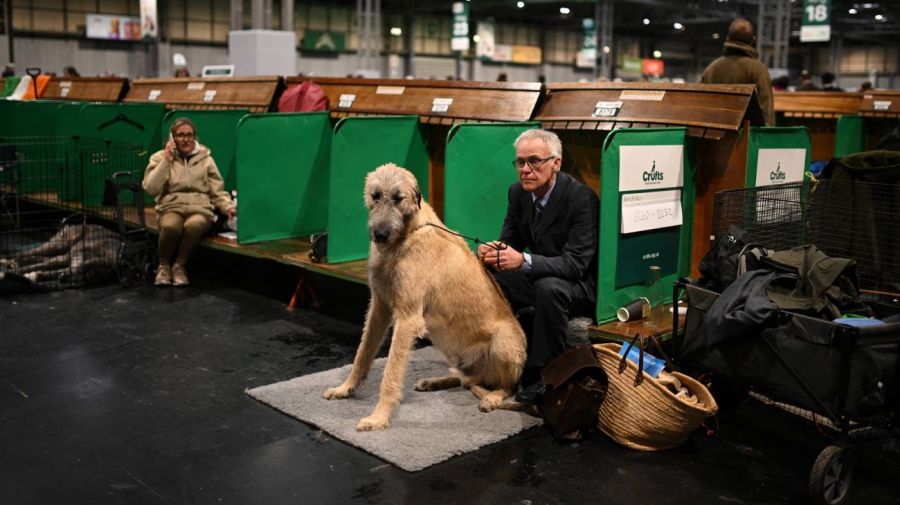 Exposición canina Crufts en el Centro Nacional de Exposiciones de Birmingham 06032026