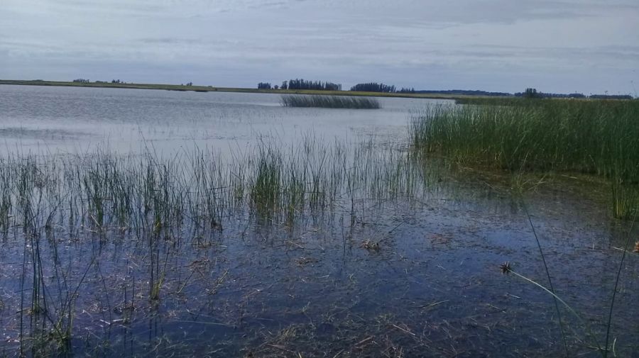 1003_lagunas_necochea