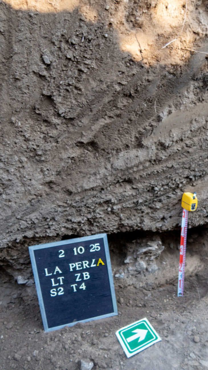 BÚSQUEDA DE PERSONAS DESPARECIDAS EN EL EX CENTRO CLANDESTINO LA PERLA 20260310