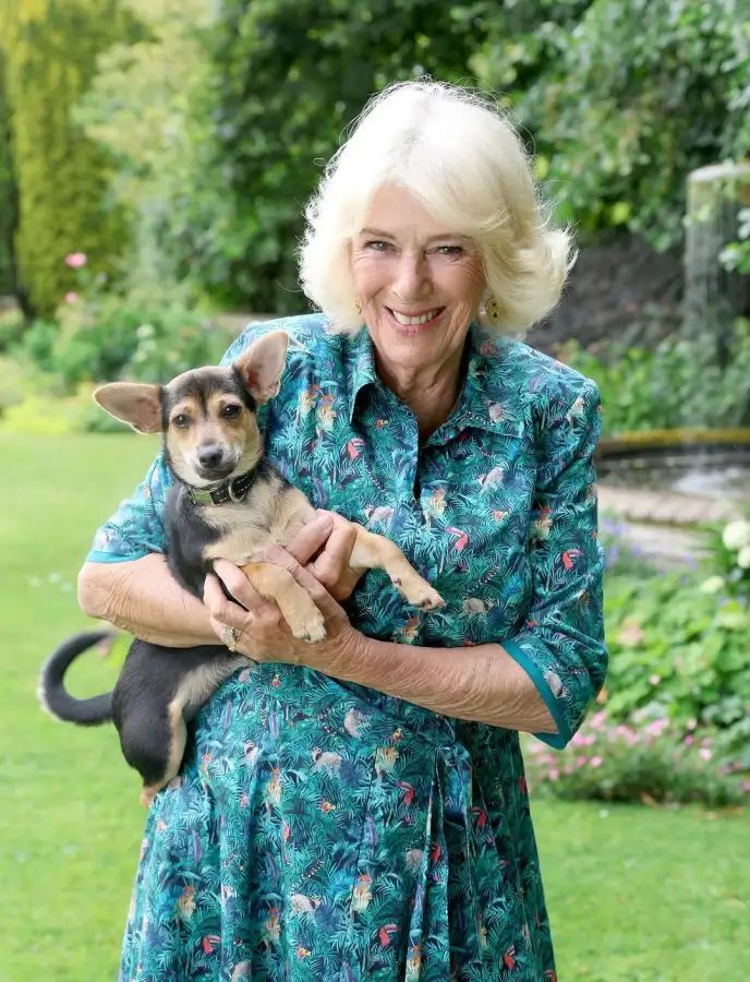 Camilla Parker Bowles