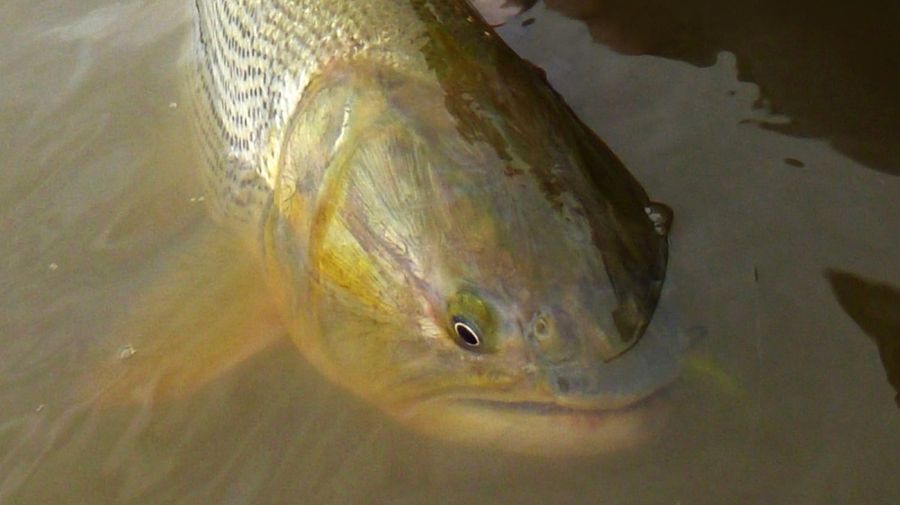 1103_santiagodelestero