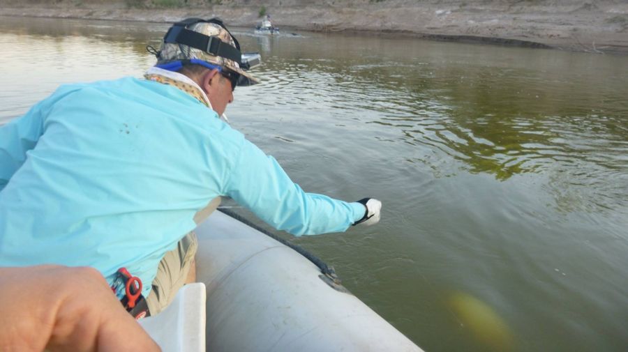 1103_santiagodelestero