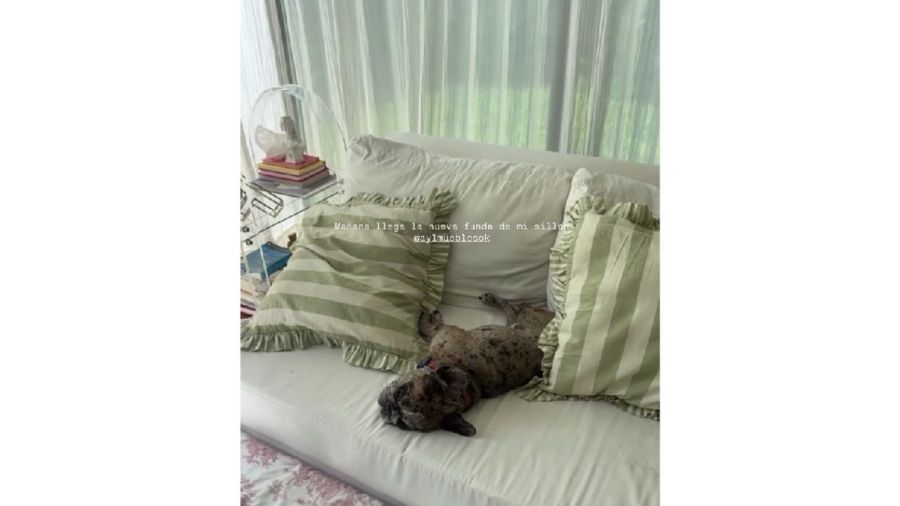 Así es el sillón de Flor Torrente