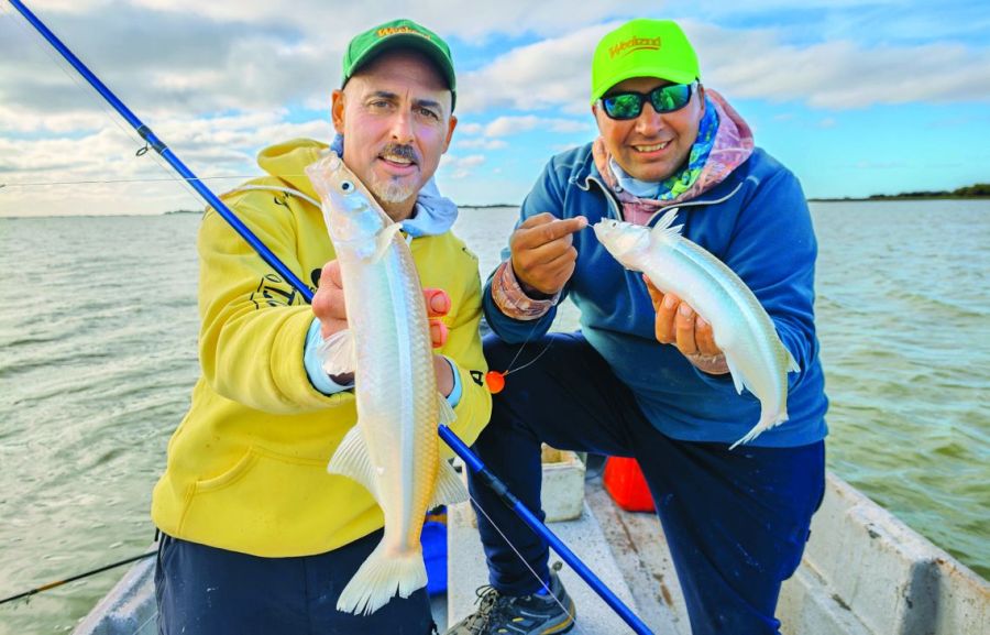 0316_contenidoabril2026