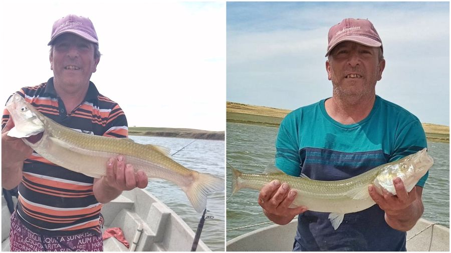 1703_matungos_lagunas