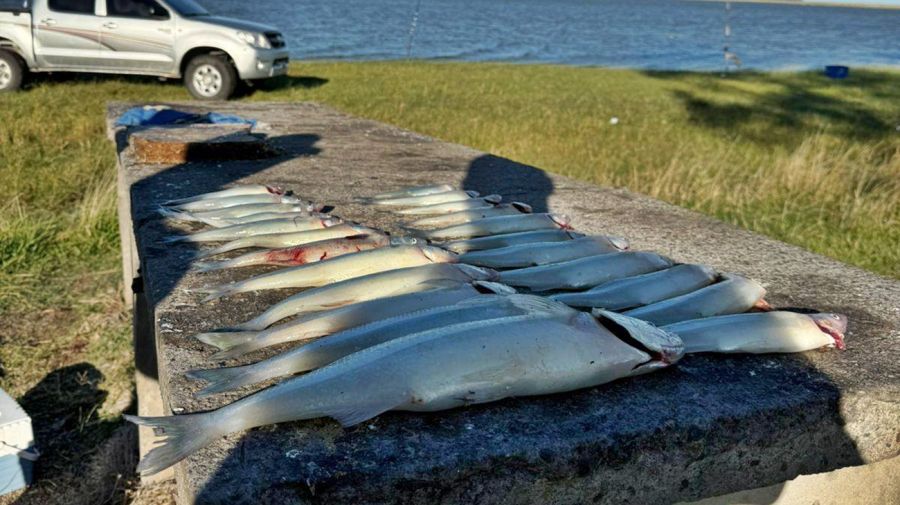 1703_matungos_lagunas