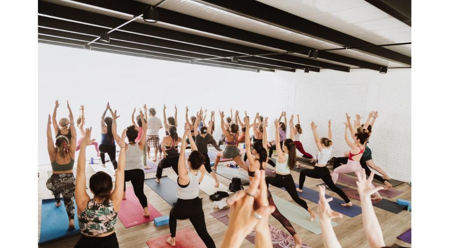 Arquitectura en armonía con la naturaleza 