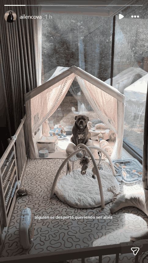 Así es la habitación