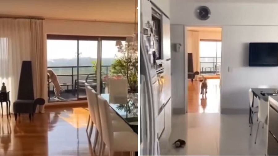 Departamentos en el edificio de Guillermo Francella