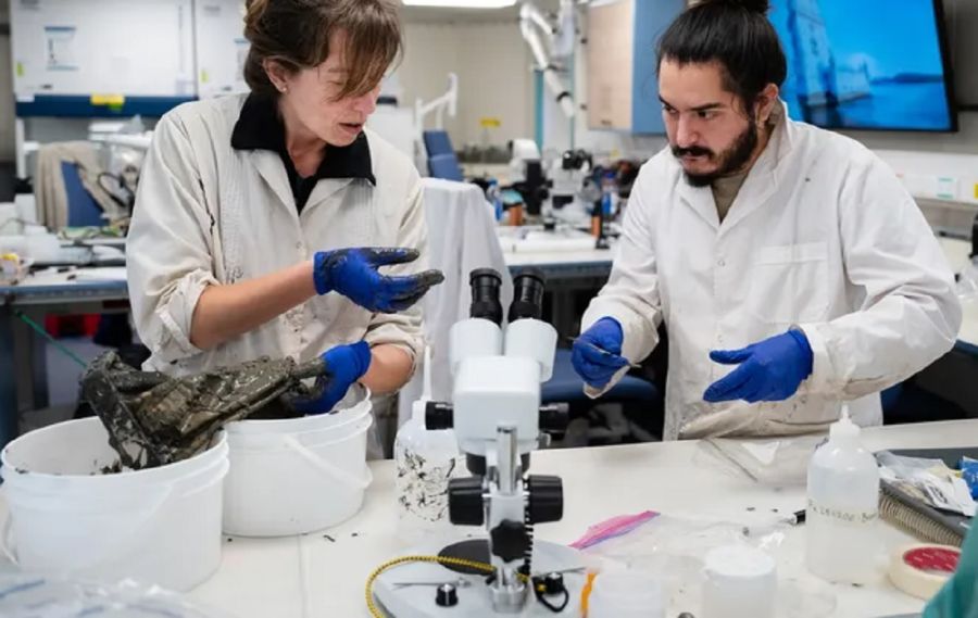 1803_maria emilia bravo