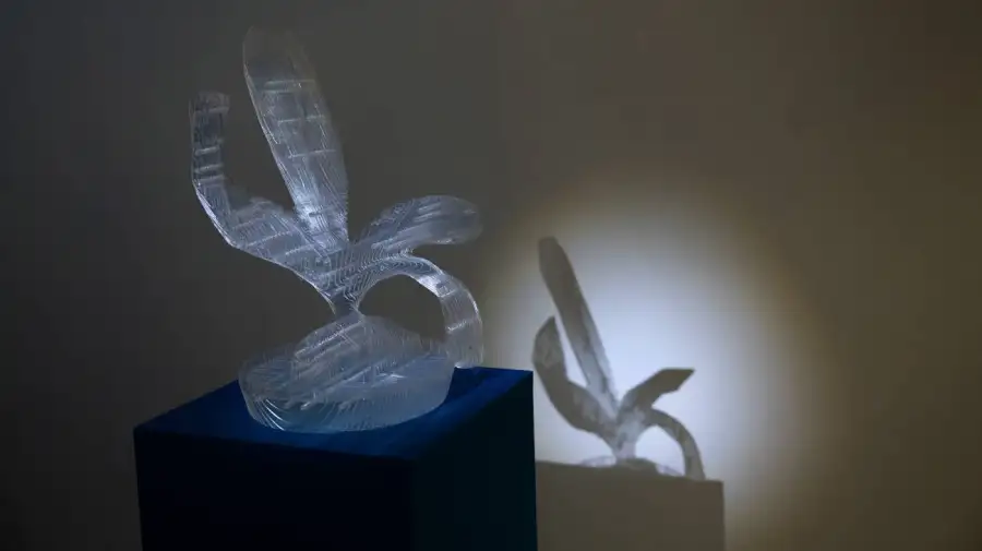 Affair 2026 210302026