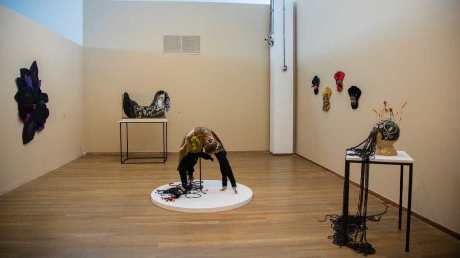 Hay cuerpos en el Parque de la Memoria 20260323