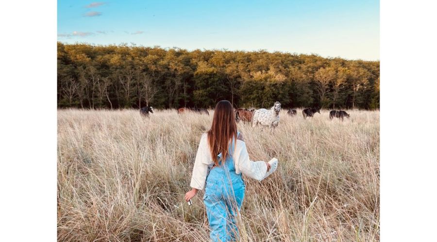 Hongos medicinales: El nuevo puente entre la medicina ancestral y la salud integrativa