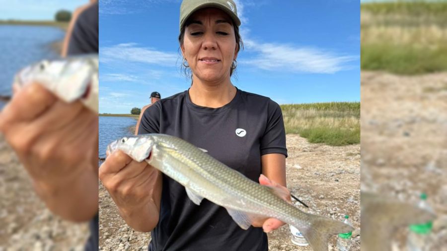 2703_mapa_pique_pesca