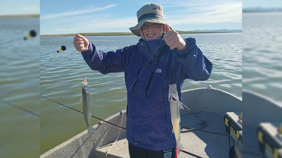 2703_mapa_pique_pesca