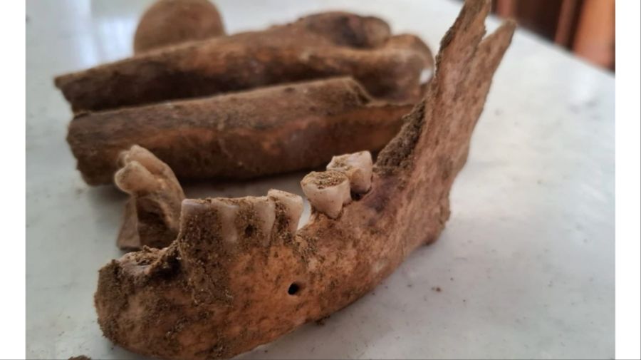 Descubrieron la tumba de D’Artagnan