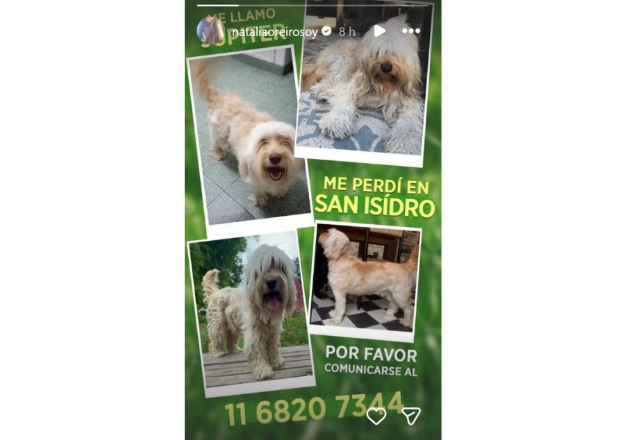 Natalia Oreiro está buscando a su perro