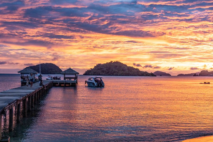 Coral Gardeners y Sylvia Earle 