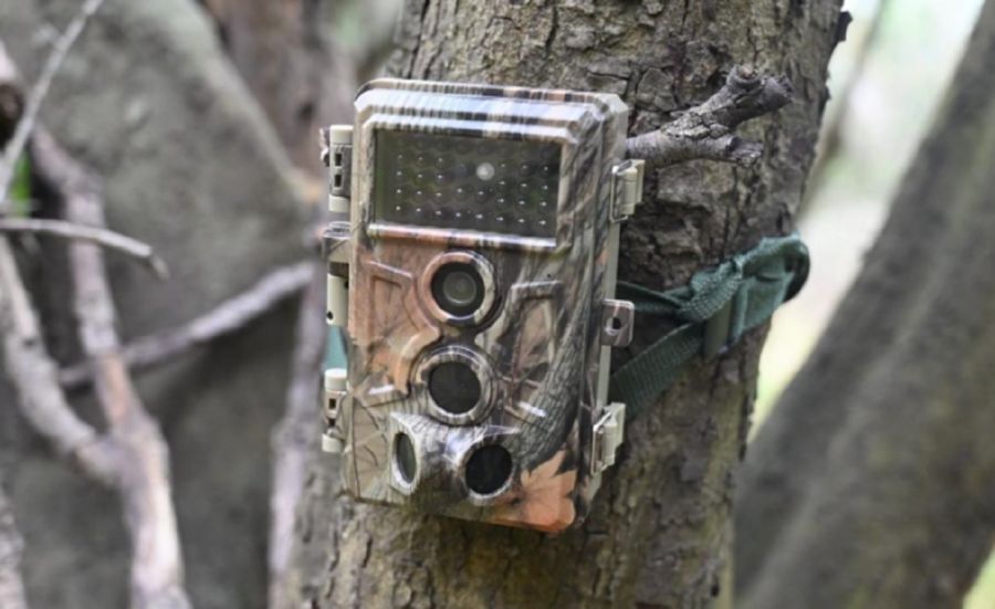 3103_RESERVA LAS PIEDRAS