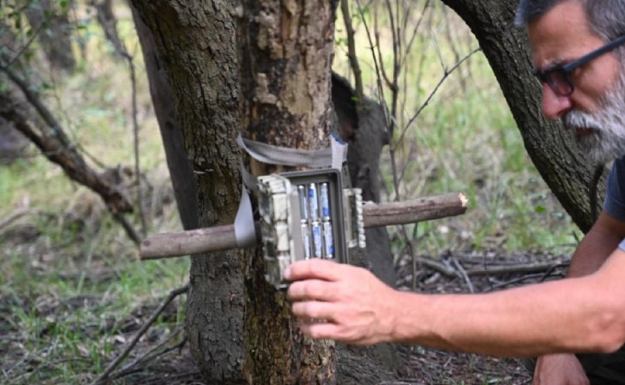 3103_reserva natural las piedras