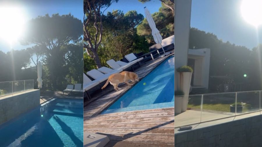 Dibu Martínez y Mandinha