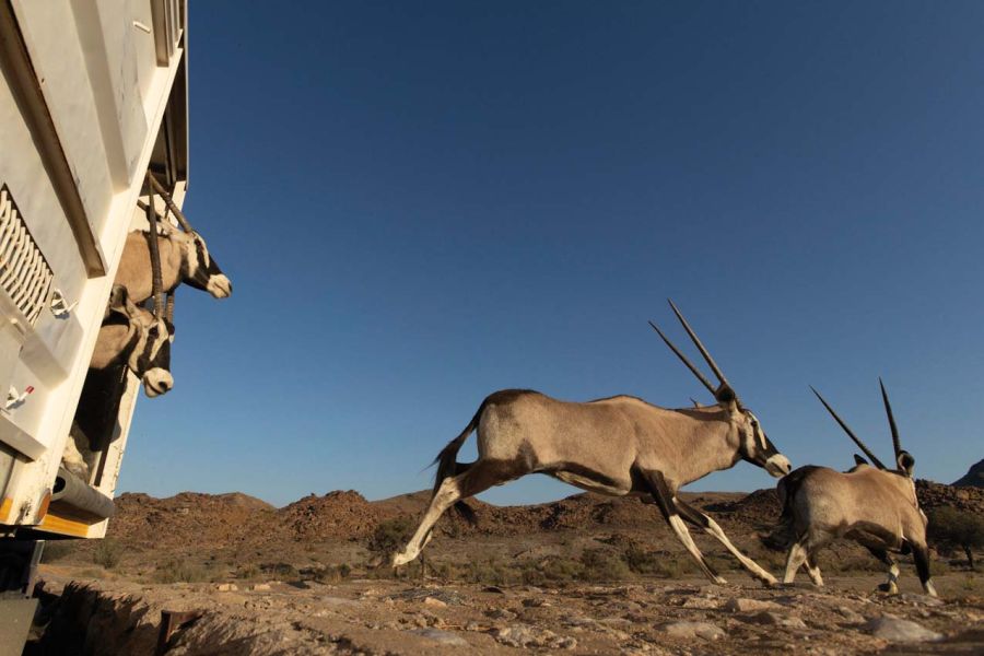 El regreso de la vida