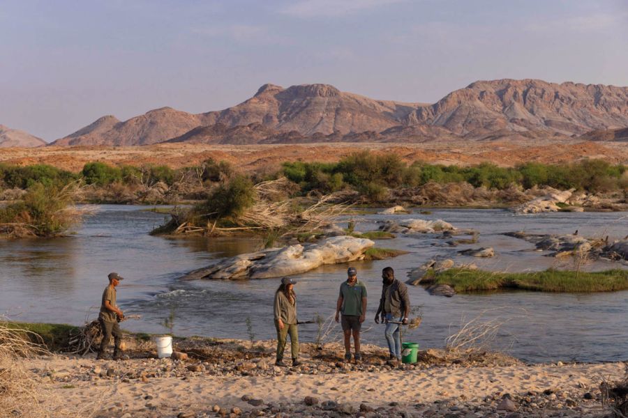 El regreso de la vida