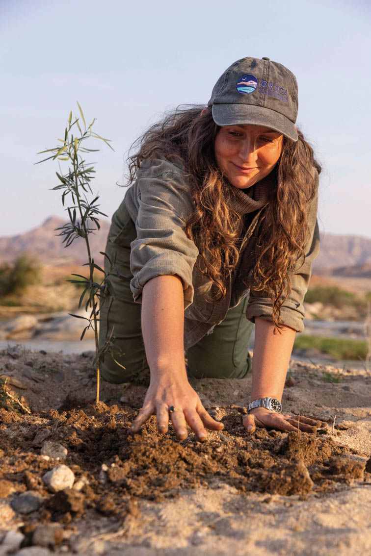 El regreso de la vida