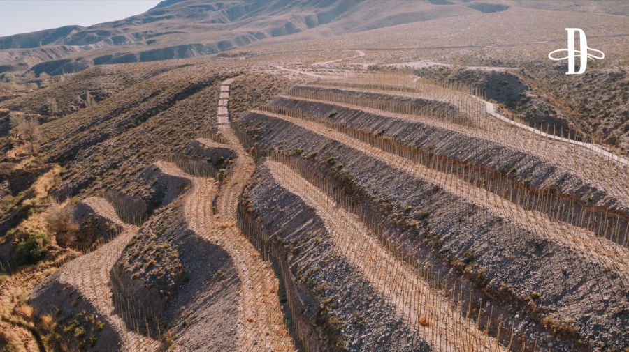 Bodega El Bayeh en Delirio