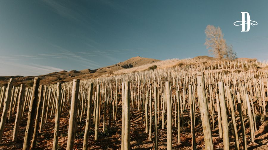 Bodega El Bayeh en Delirio