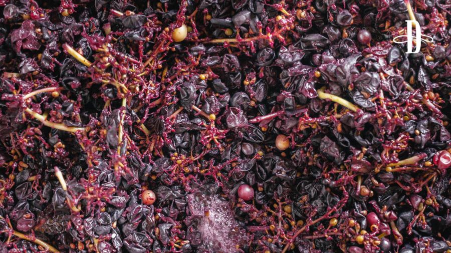 Bodega El Bayeh en Delirio