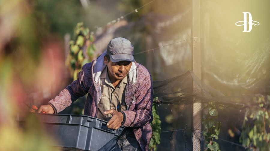 Bodega El Bayeh en Delirio