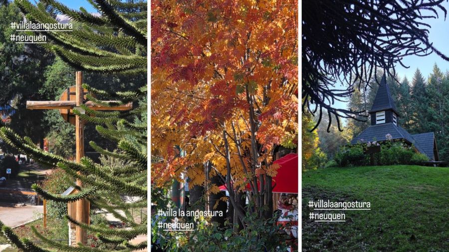 Las fotos de Mario Massacessi en Neuquén