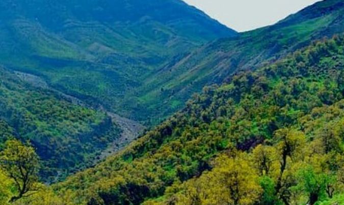 La zona de Kohgiluyeh y Boyer-Ahmad, en Irán, no es desértica, tiene montañas y zonas de vegetación en las que el piloto del F-15 estadounidense podría esconderse.