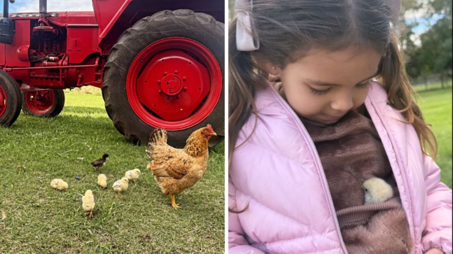 Pascuas Sarah Burlando