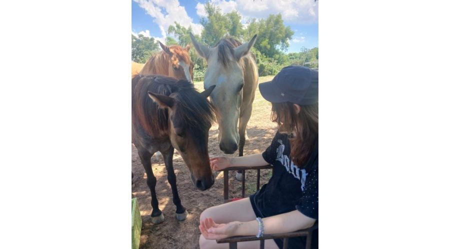 FUNDACIÓN AL REPARO TERAPIAS ECUESTRES: cómo las terapias con caballos mejoran el bienestar y la conexión humana