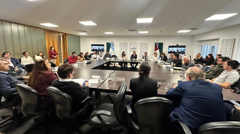 En reunión de comisión por la ley contra naranjitas ilegales